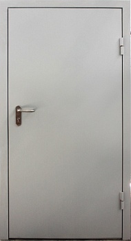Дверь противопожарная дымогазонепроницаемая одностворчатая глухая ДМП-1 2 типа EIS30/60