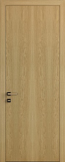 Межкомнатные двери Б18